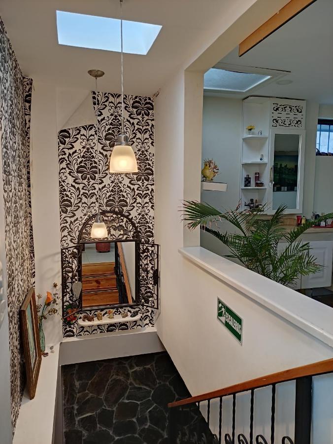 Los Andes Hostal Filandia Eksteriør bilde
